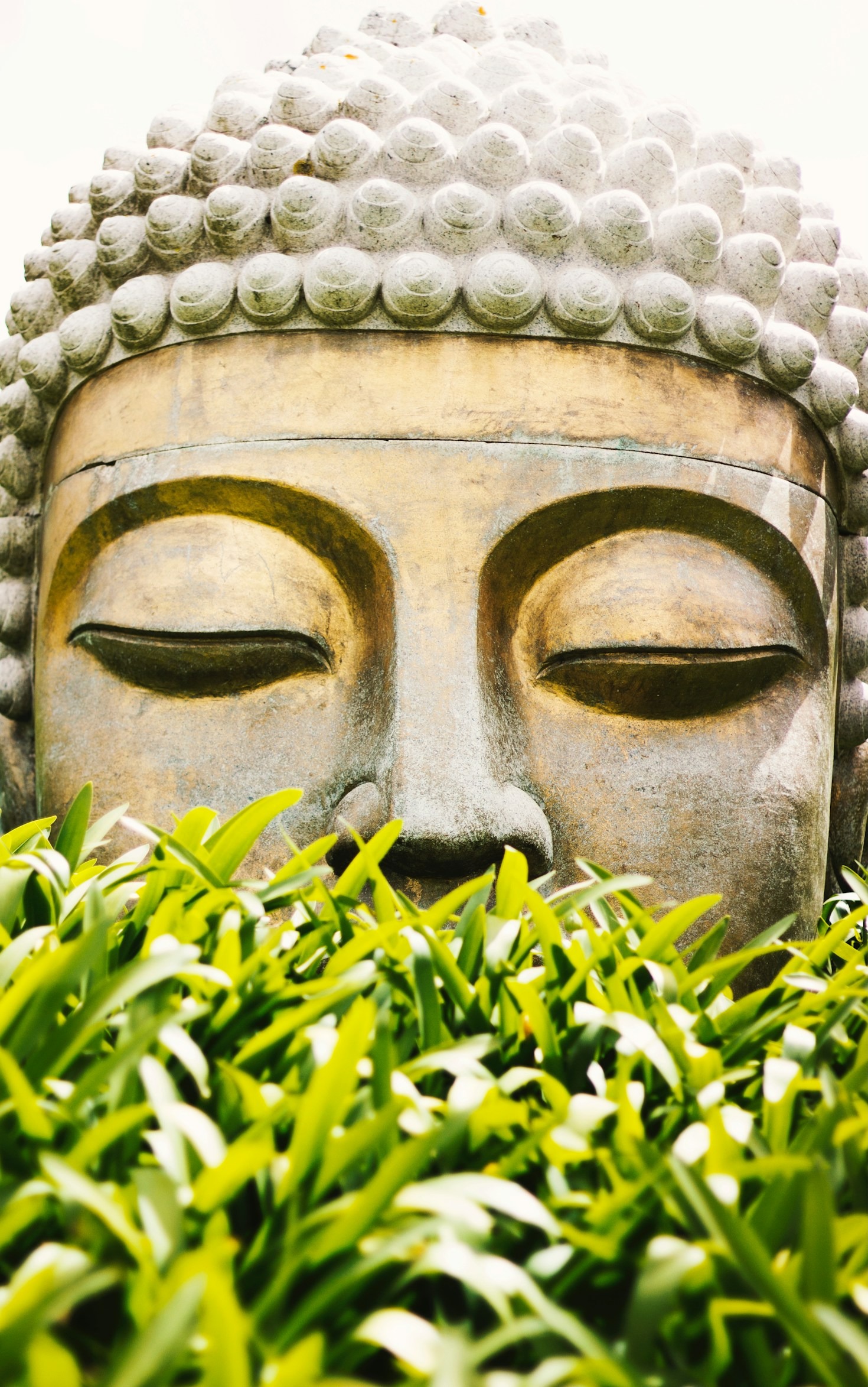 The Spiritual Awakening of a Multi-Talented Artist