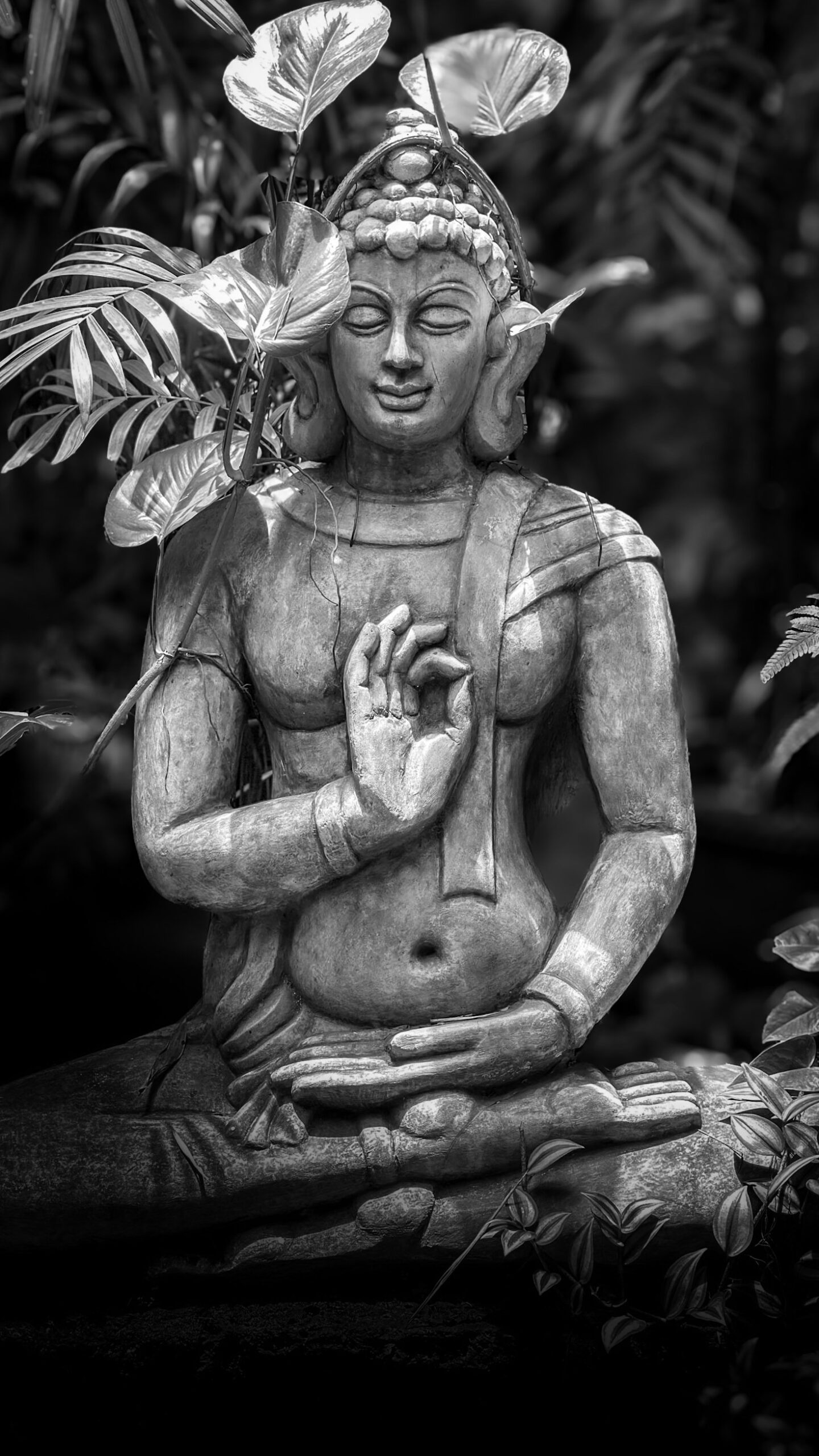 Exploring Quantum Realities with Frank Saia